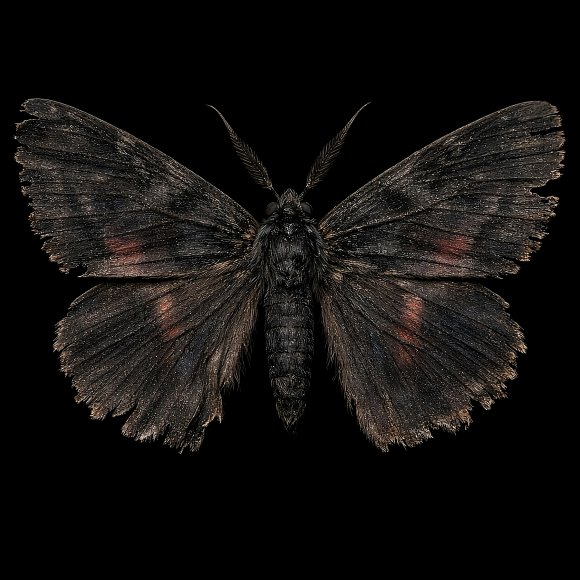 Обложка трека