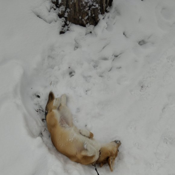 Обложка трека