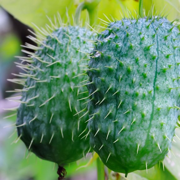 Обложка трека