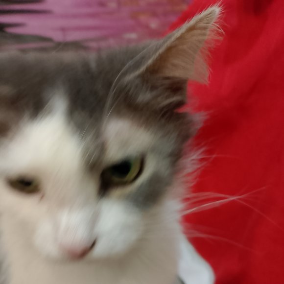 Обложка трека