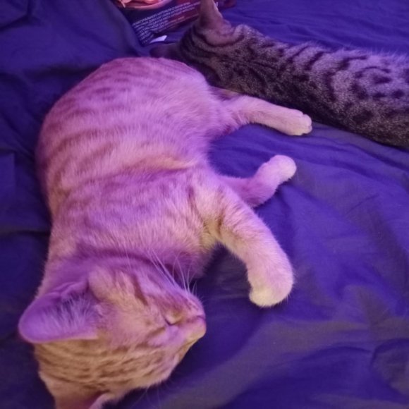 Обложка трека