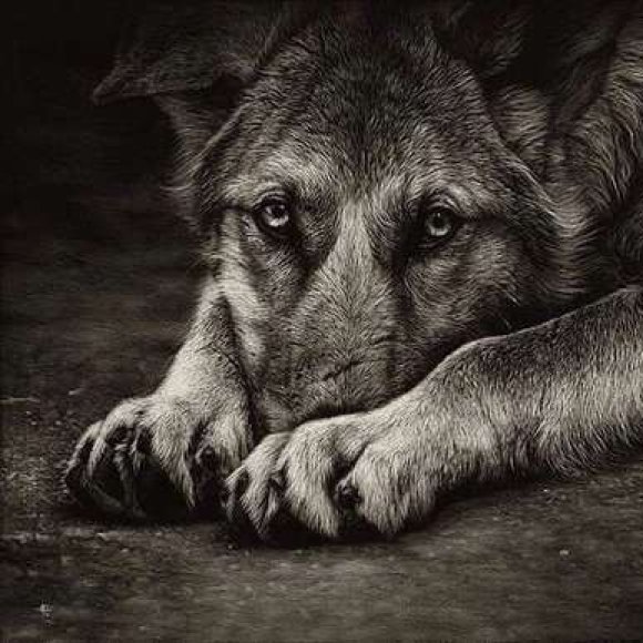 Обложка трека