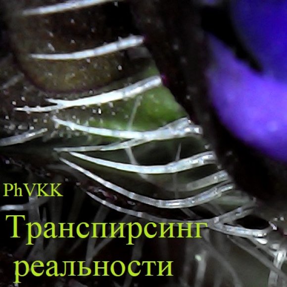 Обложка трека