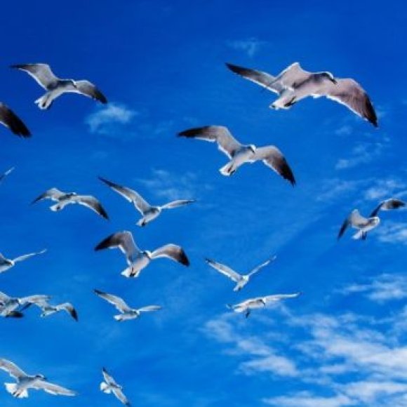 Обложка трека