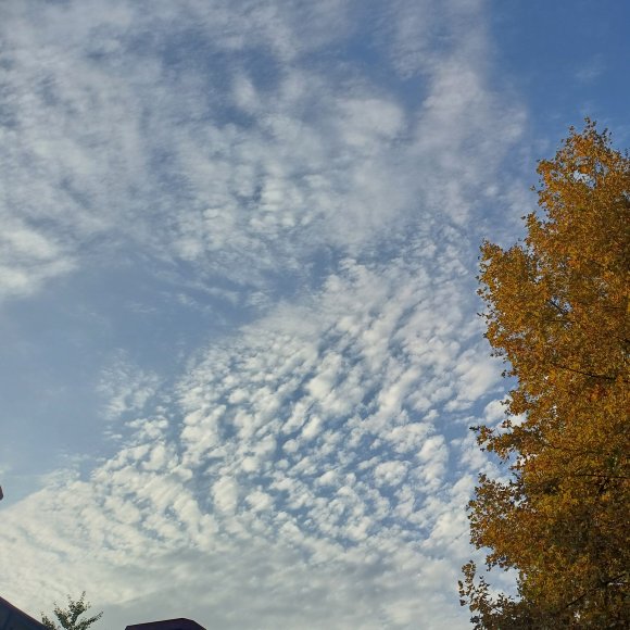 Обложка трека