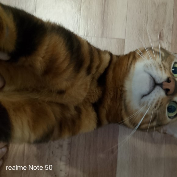 Обложка трека