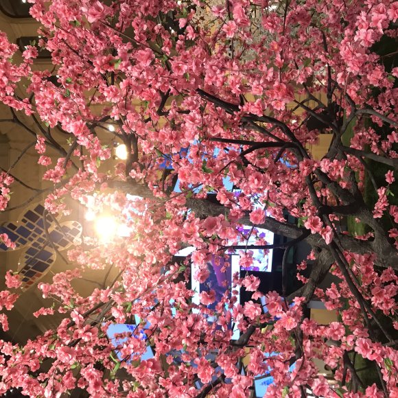 Обложка трека