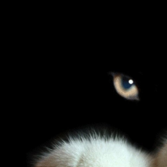 Обложка трека