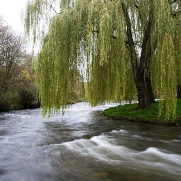 Обложка трека