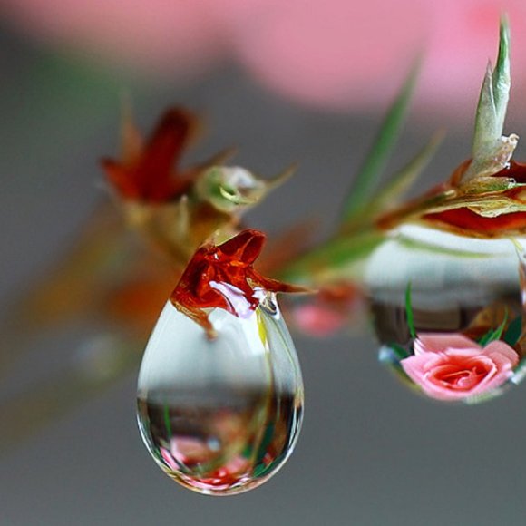 Обложка трека