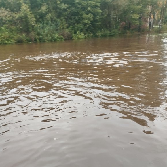 Обложка трека