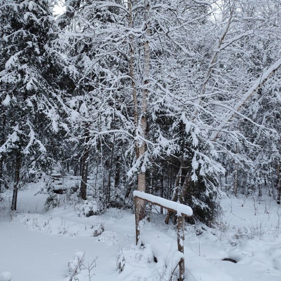 Обложка трека