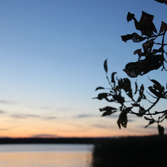 Обложка трека