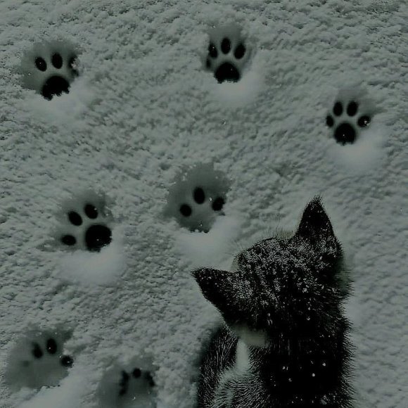 Обложка трека