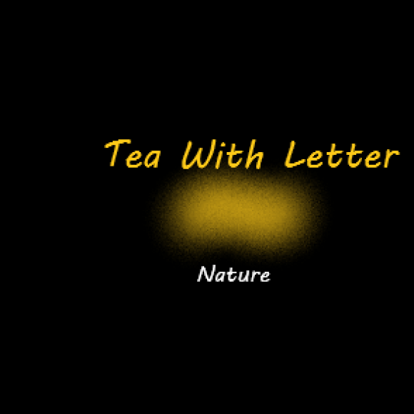 Обложка трека