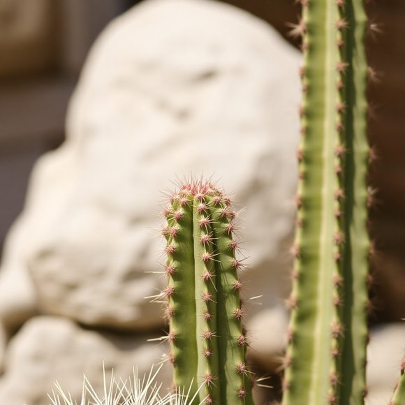 Обложка трека