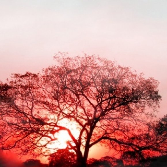 Обложка трека