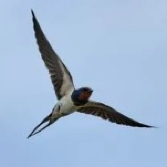 Обложка трека