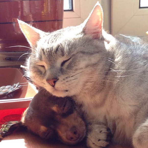 Обложка трека