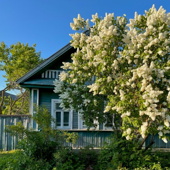 Обложка трека