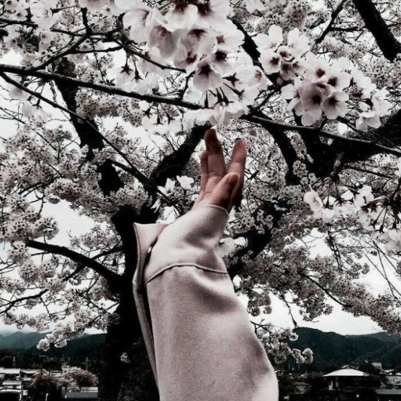 Обложка трека