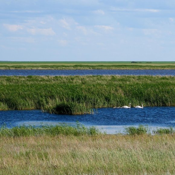 Обложка трека