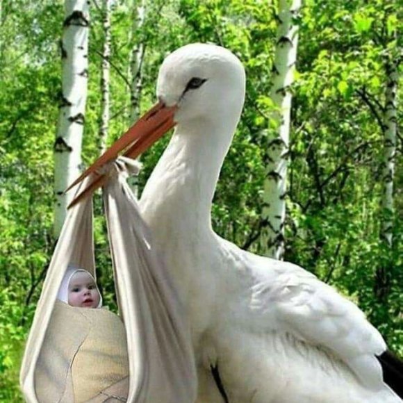 Обложка трека