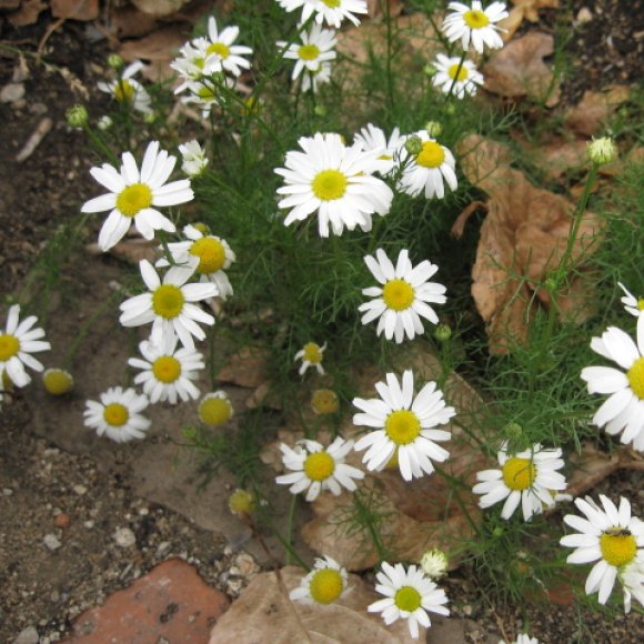 Обложка трека