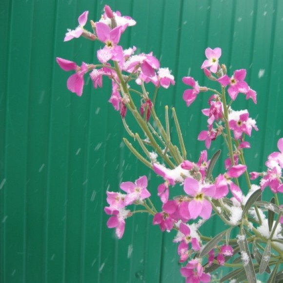 Обложка трека