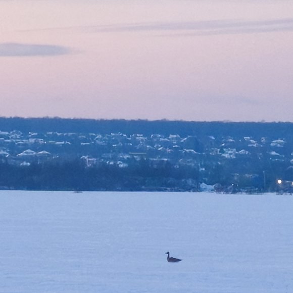 Обложка трека