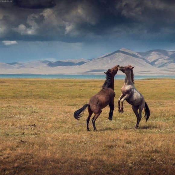 Обложка трека