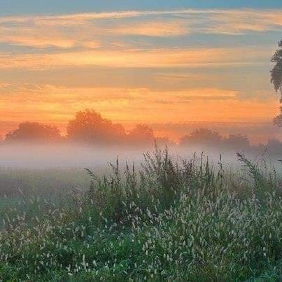 Обложка трека