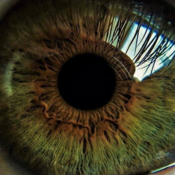 Обложка трека