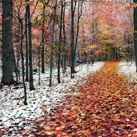 Обложка трека