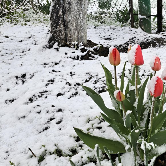 Обложка трека