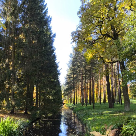 Обложка трека