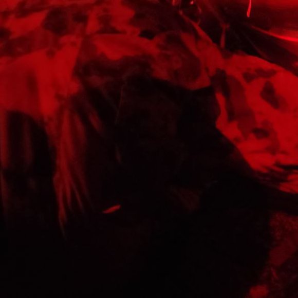 Обложка трека