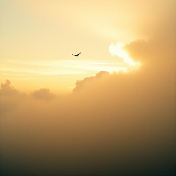 Обложка трека