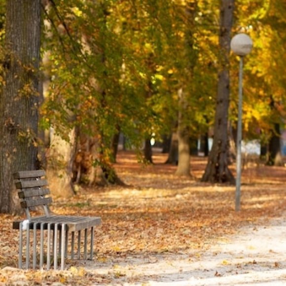 Обложка трека