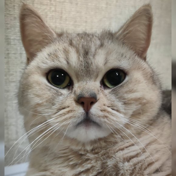 Обложка трека