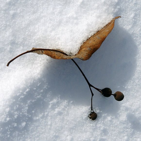 Обложка трека