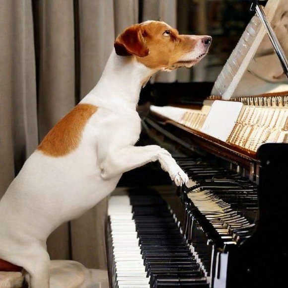 Обложка трека