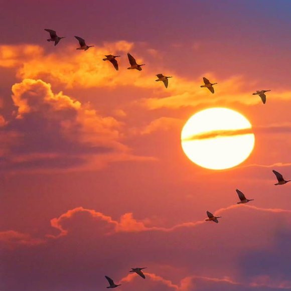 Обложка трека