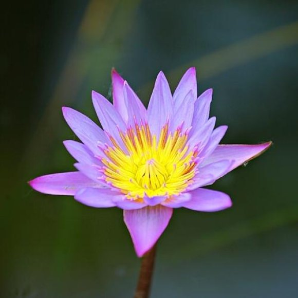 Обложка трека