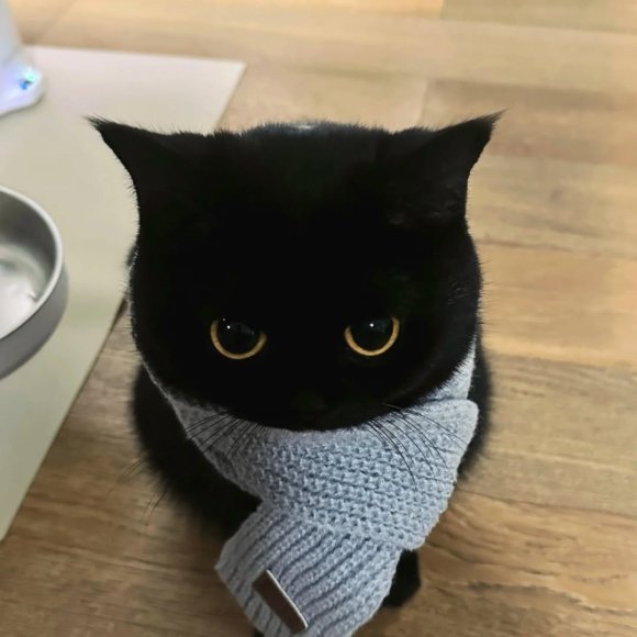 Обложка трека