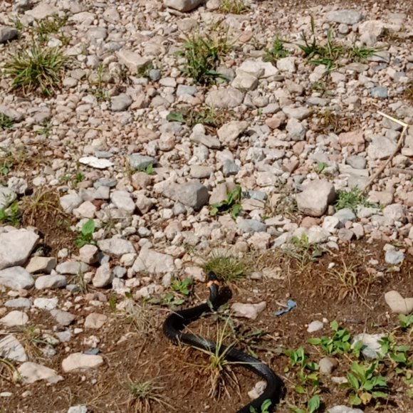 Обложка трека