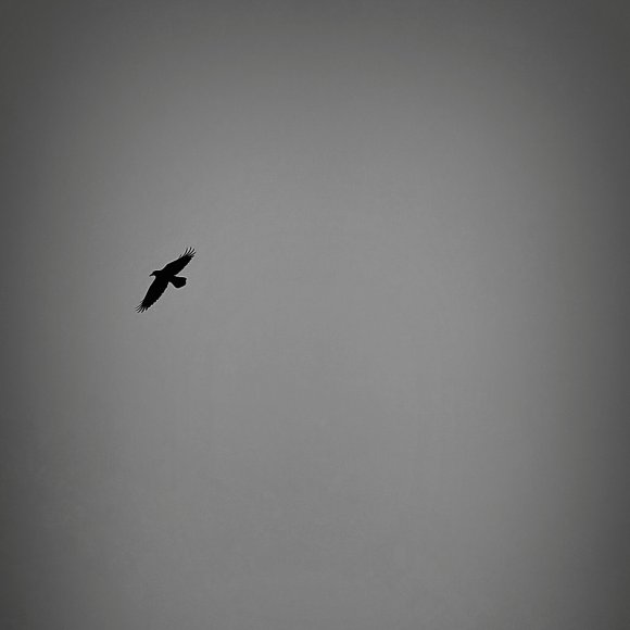 Обложка трека