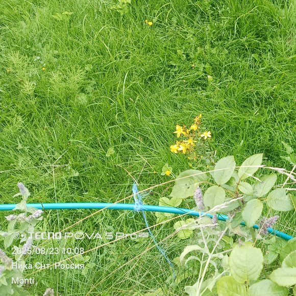 Обложка трека