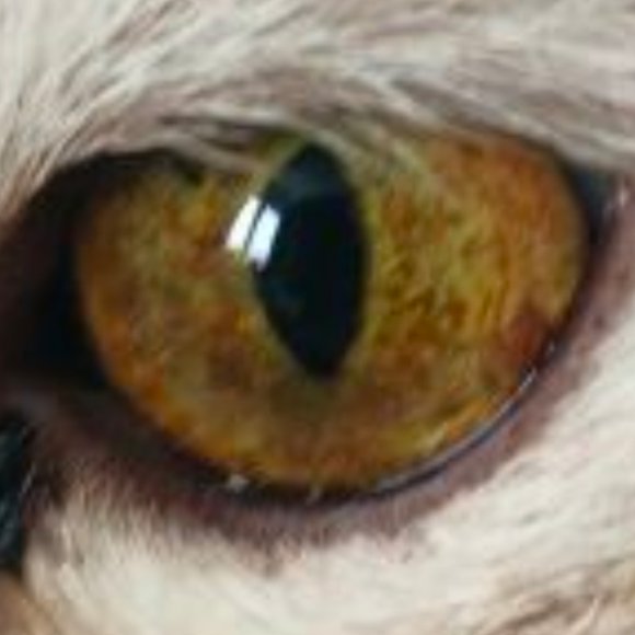 Mercator - Без ангела хранителя