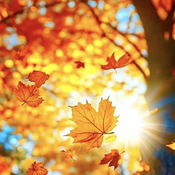 Обложка трека